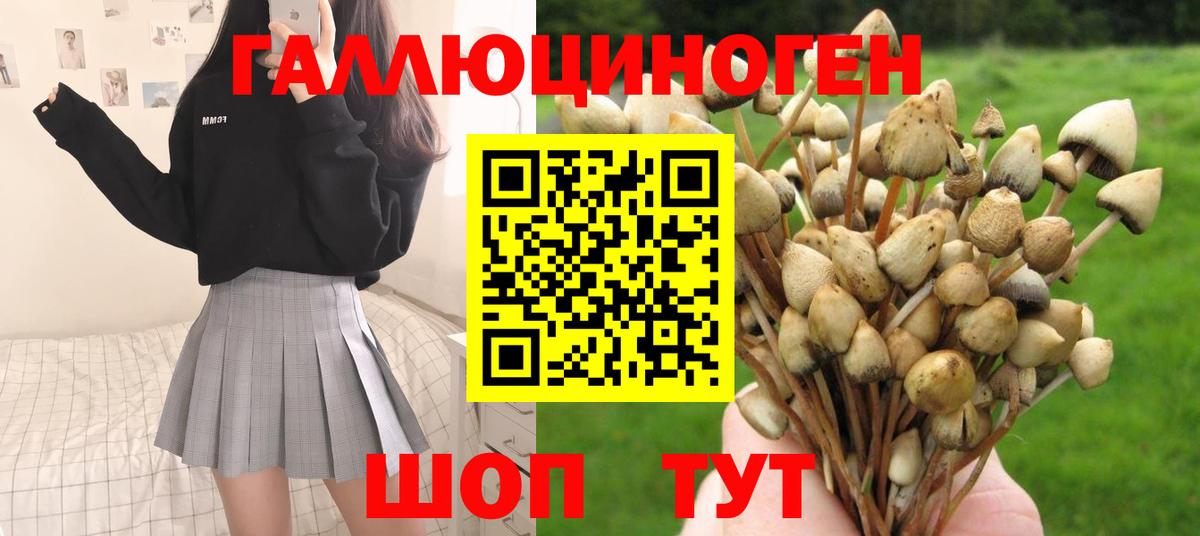 Псилоцибиновые грибы GOLDEN TEACHER Ангарск
