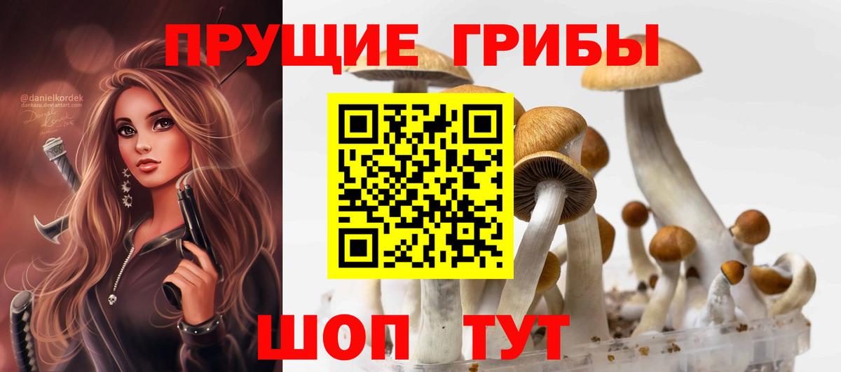 Галлюциногенные грибы GOLDEN TEACHER  Вход с VPN  Псилоцибиновые грибы Psilocybine cubensis  Ангарск 