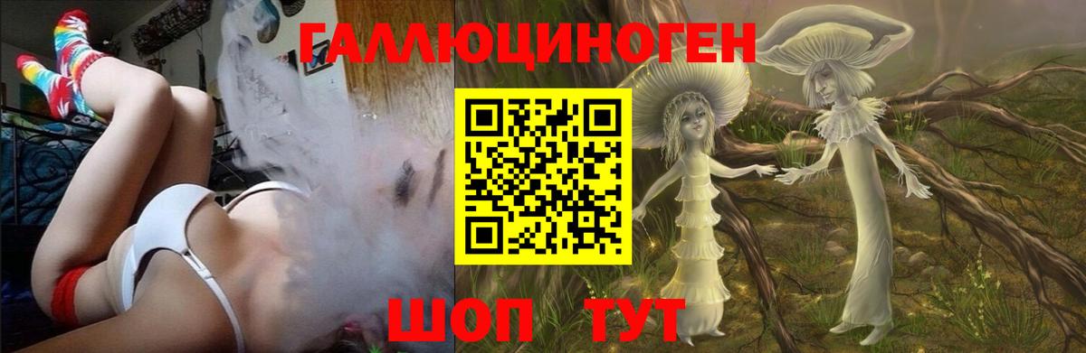 Псилоцибиновые грибы Psilocybe Ангарск